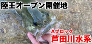 初夏のバックウォーターへ！陸王オープン開催地の三川・八田原ダム｜脱水寸前のバスフィッシング