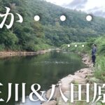 低気圧で爆釣！？OSPプロスタッフ木坂さんと夏の三川・八田原ダムに挑むが...まさかの苦戦か