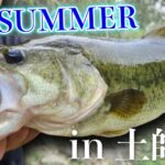 土師ダムに午後活へ！短時間のサイトゲーム？ブラインドで新しいアプローチを発見か！？