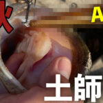 晩秋の土師ダムにドラマを求めて！水温13度、風速3mの中モンスターバスだけを仕留めに行ってきました。