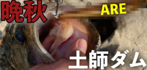 晩秋の土師ダムにドラマを求めて!水温13度、風速3mの中モンスターバスだけを仕留めに行ってきました。