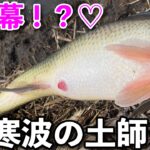 冬逆戻り！？水温低下！？早春の土師ダムへ