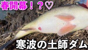 冬逆戻り！？水温低下！？早春の土師ダムへ