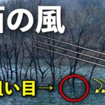 早春の土師ダムへ！最高気温21度に南風「これは熱い！！」