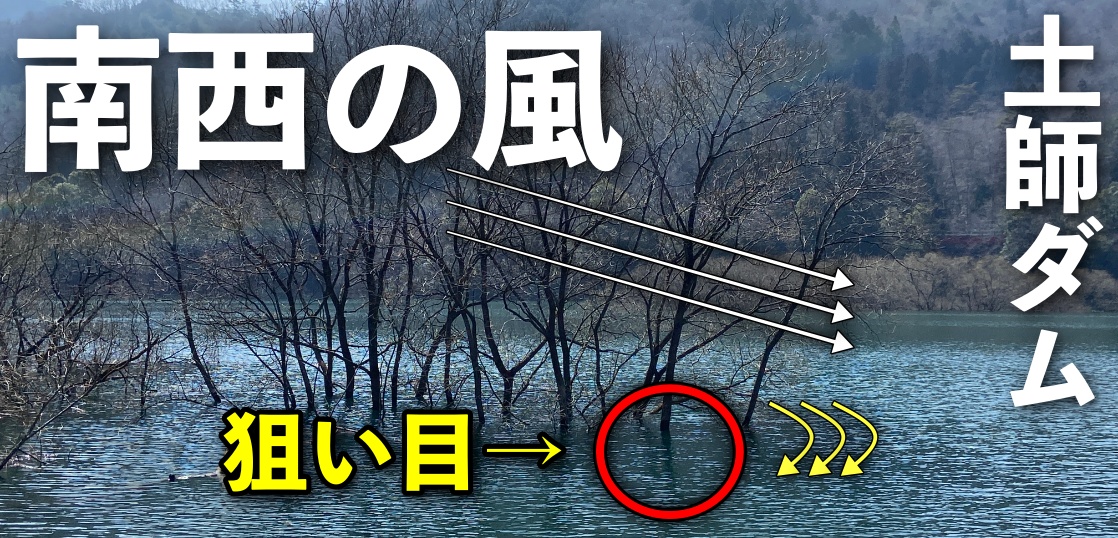 早春の土師ダムへ！最高気温21度に南風「これは熱い！！」