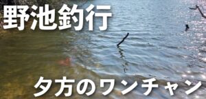 早春の野池釣行！南風がキー！？