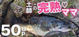 土師のプリスポーンBASSがとんでもねぇ〜クオリティーだった！（スカイレイパワープラスのインプレも）