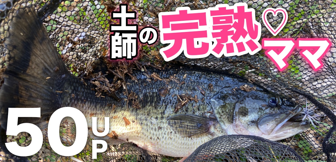 土師のプリスポーンBASSがとんでもねぇ〜クオリティーだった！（スカイレイパワープラスのインプレも）