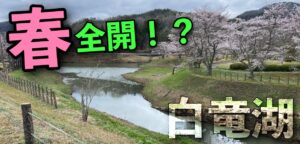 春全開！？福富ダム&白竜湖へプリスポーンを求めて！