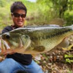 午後から東広島野池巡りへ！到着1分でまさかのドラマ魚登場！？（連休釣行おまとめ記事）
