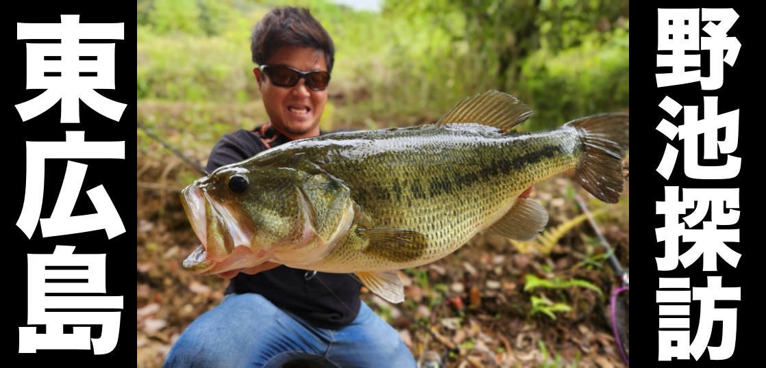 午後から東広島野池巡りへ！到着1分でまさかのドラマ魚登場！？（連休釣行おまとめ記事）