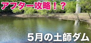 5月の土師ダムへ！果たしてアフターなのか？それとも上流の回復系？全然わからないので歩き回ってみました