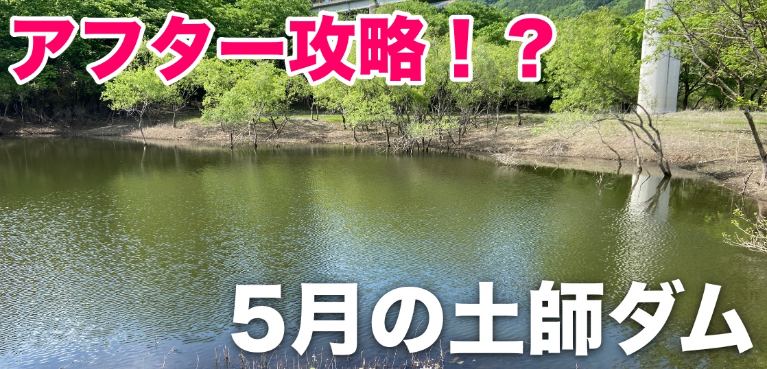 5月の土師ダムへ！果たしてアフターなのか？それとも上流の回復系？全然わからないので歩き回ってみました