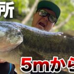 初フィールドでまさかの5mから落下！午後からはいつもの土師へ