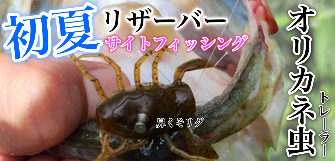 初夏のリザーバーへ！オリカネムシトレーラーの「肉詰めリグ」が好反応！？