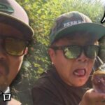 気温35度オーバー！久々の八田原・三川ダムを攻めてみました