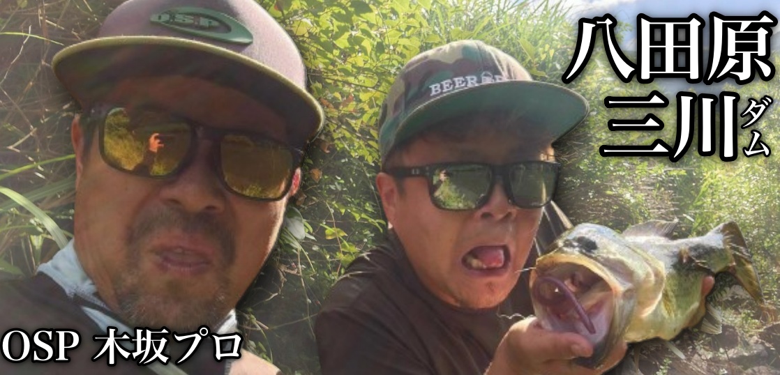 気温35度オーバー！久々の八田原・三川ダムを攻めてみました