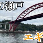 ソロエギング釣行　〜音戸の瀬戸・坪井港〜