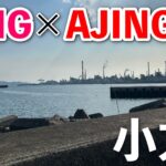 大竹市「小方港」にエギング&アジングに！情報なし、下見なしでも釣れるのか？