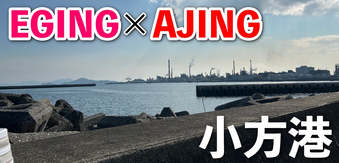 大竹市「小方港」にエギング&アジングに！情報なし、下見なしでも釣れるのか？