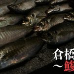 若潮は釣れない？地図から探る音戸〜倉橋島アジング・エギング釣行