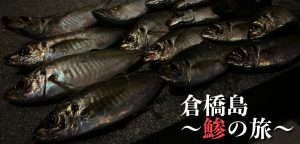 若潮は釣れない？地図から探る音戸〜倉橋島アジング・エギング釣行