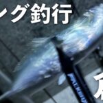 地図から探る倉橋アジング釣行！音戸で寄り道エギングも！