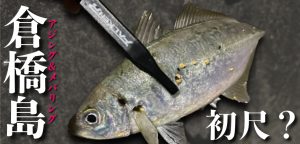 倉橋アジングで「尺アジ」降臨！地図から探るランガン釣行