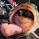 冬の福富ダムに2024年の釣り納めへ！木坂さんとボート釣行はいつも大荒れ！？