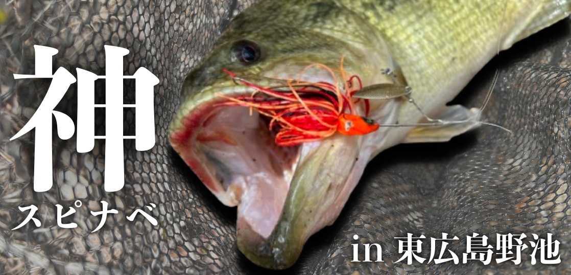 春の東広島野池を攻略！？神のスピナベが今年も爆発