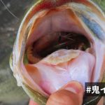 東広島野池で「＃完マラ」を頂きました...