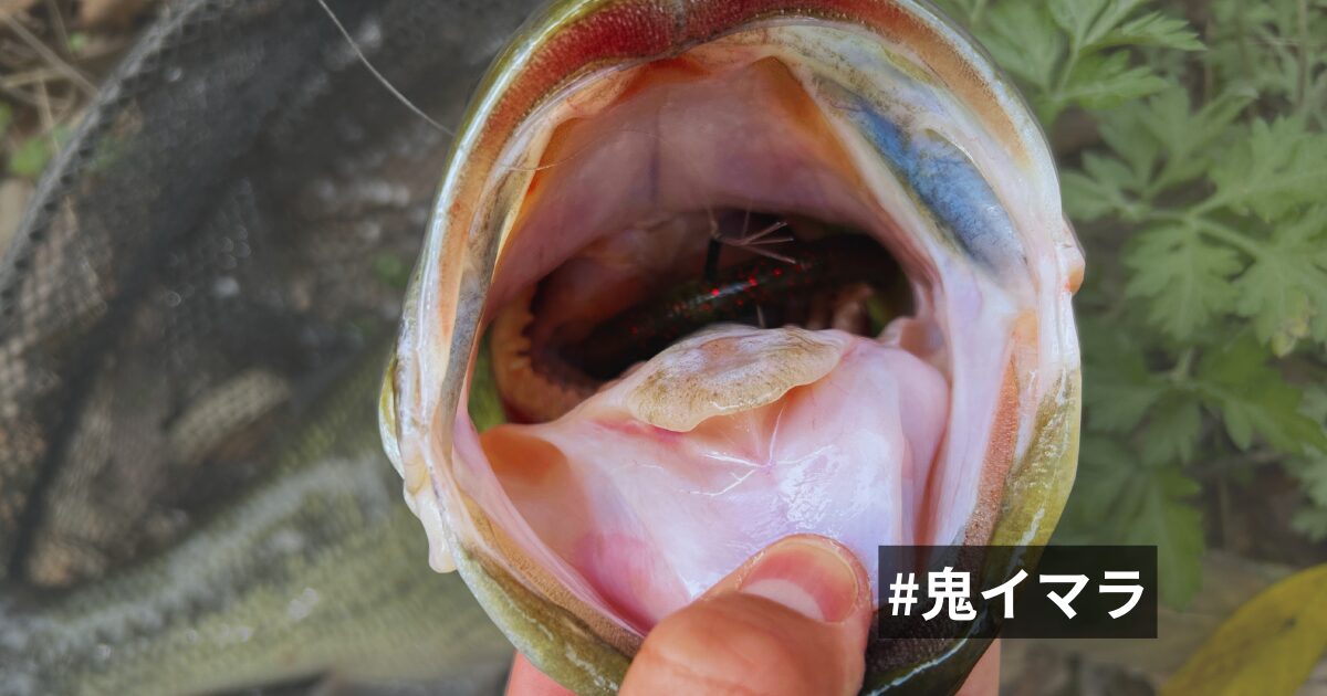 東広島野池で「＃完マラ」を頂きました...