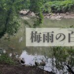 梅雨の白竜湖釣行｜ガッツリ放水モードのBWでブランドゲーム