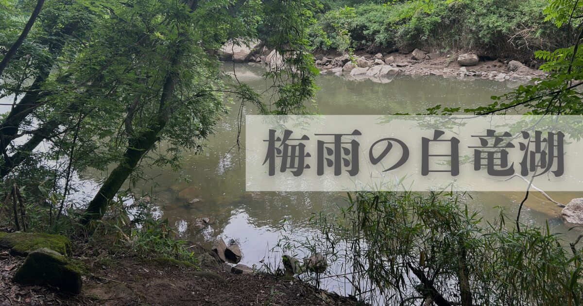 梅雨の白竜湖釣行｜ガッツリ放水モードのBWでブランドゲーム