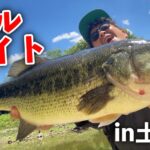 バスが少ない...土師ダムBW｜オールサイトで短時間勝負