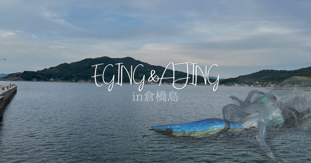 倉橋島デイエギング！夜は1年ぶりのアジングポイントへ