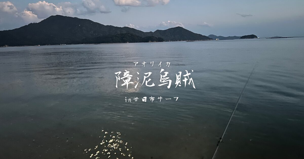 廿日市エギング｜夕マヅメのサーフエリアで連発！？