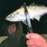 新月大潮アジング｜倉橋エリアを南下し久々のつ抜け