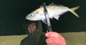 新月大潮アジング｜倉橋エリアを南下し久々のつ抜け