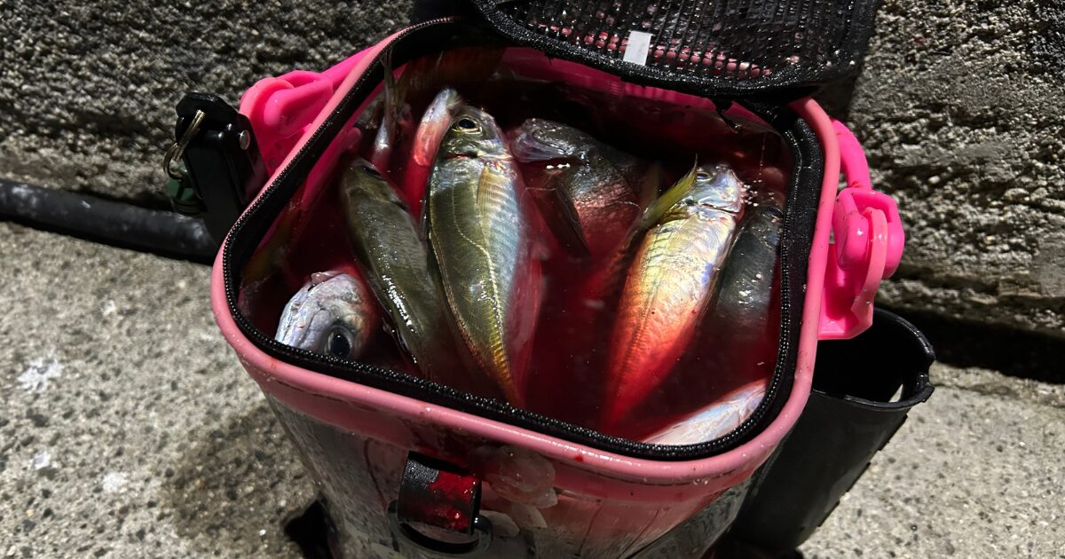 広島アジング｜エステル0.4にまさかの大物がヒット！