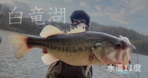 早春の白竜湖｜ハードプラグ縛り？で夕方突撃！！