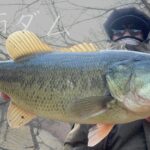 早春の土師ダム|硬いもんだけ持って夕方のオカッパリ