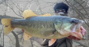 早春の土師ダム|硬いもんだけ持って夕方のオカッパリ