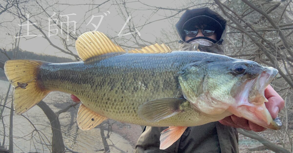 早春の土師ダム|硬いもんだけ持って夕方のオカッパリ